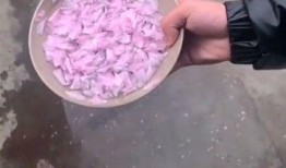 吃瓜需谨慎小品