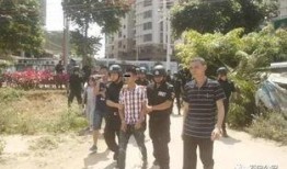 高密砍人吃瓜在线,揭秘背后真相与网络舆论风暴