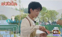 龚俊的深夜吃瓜,娱乐圈幕后故事大揭秘