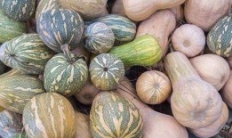 芭女吃瓜,揭秘娱乐圈幕后故事