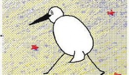 豆瓣吃瓜组鹿组,揭秘网络热议背后的真实故事