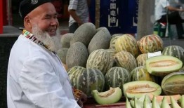 吃瓜的哈密,揭秘哈密瓜背后的故事