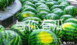 长青大学吃瓜,揭秘校园里的那些事儿