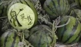 韩城巧玲吃瓜视频,揭秘娱乐圈幕后故事