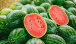 吃瓜视频是啥,网络热传现象背后的真相