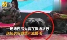 吃瓜比赛歌曲视频播放,跟随音乐视频领略瓜界风云