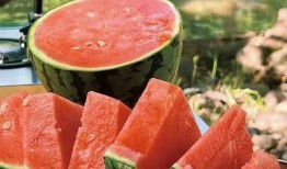 安全吃瓜小知识,轻松享受夏日清凉，远离健康隐患