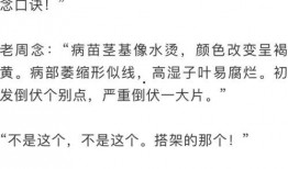 吃瓜评注,娱乐圈风云变幻，揭秘明星幕后故事