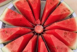 吃瓜大赛卷圈,一场舌尖上的狂欢盛宴