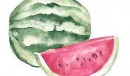 日本为了吃瓜,全民“吃瓜”热潮席卷而来