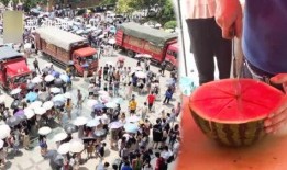 陕西大学吃瓜视频,揭秘校园生活趣味瞬间