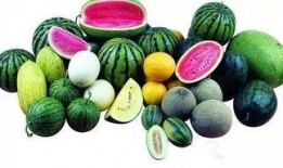 吃瓜前众多爱听的瓜,那些你不知道的幕后故事与瓜料大集合