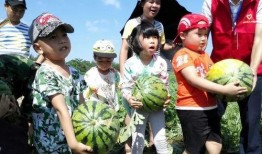 群众吃瓜节视频