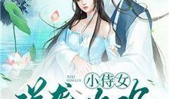 吃瓜侍女后续小说,宫廷秘闻再掀波澜