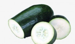 减肥的人可以吃小瓜