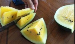 富士瓜就能炸着吃,炸着吃，美味升级！