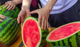 合肥一学校吃瓜,校园生活里的甜蜜烦恼