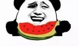 吃瓜咋爸,一场关于家庭与成长的温馨故事