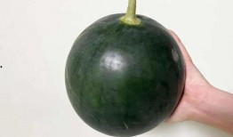 在哪里吃大瓜,畅享“吃大瓜”的独特风味之旅