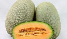 吃一斤哈密瓜会上火吗吗,哈密瓜食用量与上火关系探讨