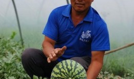 焦作最新吃瓜,揭秘背后惊人真相！