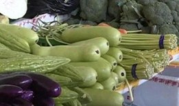 爆料带凳吃瓜,网络爆红现象背后的故事