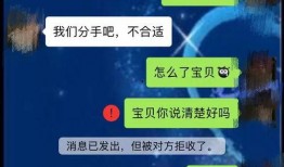 支付宝吃瓜群怎么看,揭秘社交圈里的趣味与热议