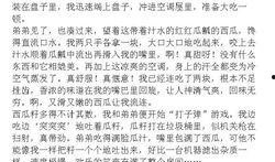 吃瓜作文400字,一瓜四议，品鉴生活百态