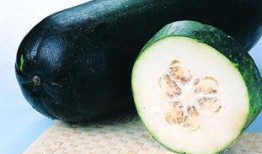 栋瓜怎么吃,探索美味栋瓜的烹饪艺术