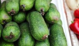 吃瓜爆料柳州视频