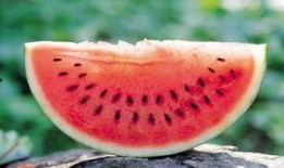 柬埔寨割腰子视频 吃瓜,吃瓜群众背后的惊悚真相