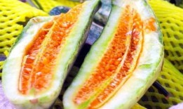 吃瓜密语,吃瓜密语背后的真相与内幕