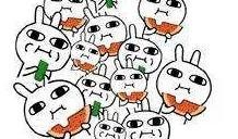 吃瓜群众夏日炎炎,吃瓜群众热议风云