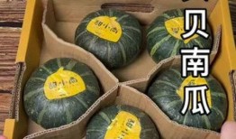 小孩吃贝贝瓜吗,宝宝首次尝试美味贝贝瓜