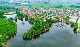 康桥镇三林塘崩瓜怎么吃,传统美食的独特吃法揭秘