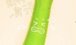 武汉东湖吃瓜,消暑解馋的休闲时光