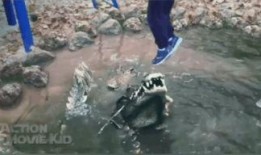 奉节吃瓜事件视频,一场网络热议背后的真相揭秘