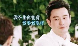 吃瓜小记黄晓明,吃瓜小记里的娱乐圈风云