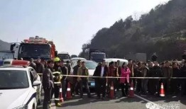福建新闻吃瓜群众事件,网络舆论场上的风波与反思