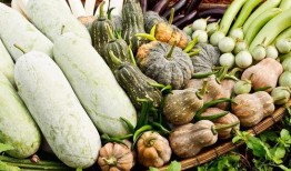 吃瓜有关的口号,揭秘娱乐圈那些吃瓜群众的狂欢盛宴