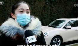 林默和吃瓜系统,揭秘网络舆论背后的神秘力量