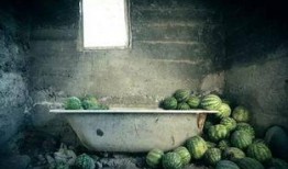 群众吃瓜节视频