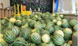 吃瓜官方免费,吃瓜官方带你畅游明星幕后生活