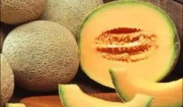 吃清甜哈密瓜,品味清甜哈密瓜的甜蜜时光