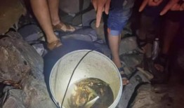 奉节吃瓜事件视频,一场网络热议背后的真相揭秘