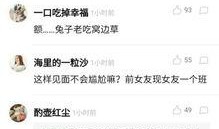 吃瓜婆回复录音,一场关于瓜田的趣味对话