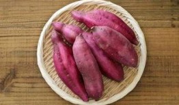 孕期可以吃土瓜吗,土瓜食用指南