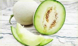 吃瓜不能喝茶,揭秘吃瓜与喝茶的完美搭配