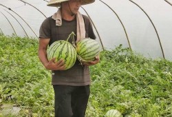 农场小妹请吃瓜