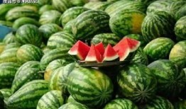 吃瓜吃吃吃,一场关于“吃瓜吃吃吃”的趣味盛宴